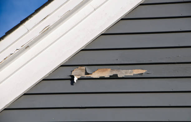 Best Siding Removal and Disposal  in Gridley, CA